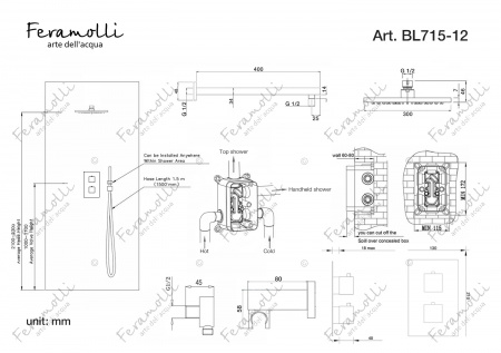 Душевой комплект с термостатом Feramolli BL715-12 (30см.), черный Feramolli