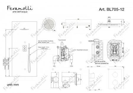 Термостатический комплект для душа Feramolli BL705-12 (30см.), черный Feramolli